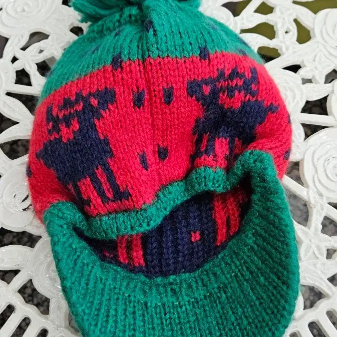 [BUNJANG] Unisex Colorful Knit Hat / 컬러풀 털모자 벙거지 니트 모자