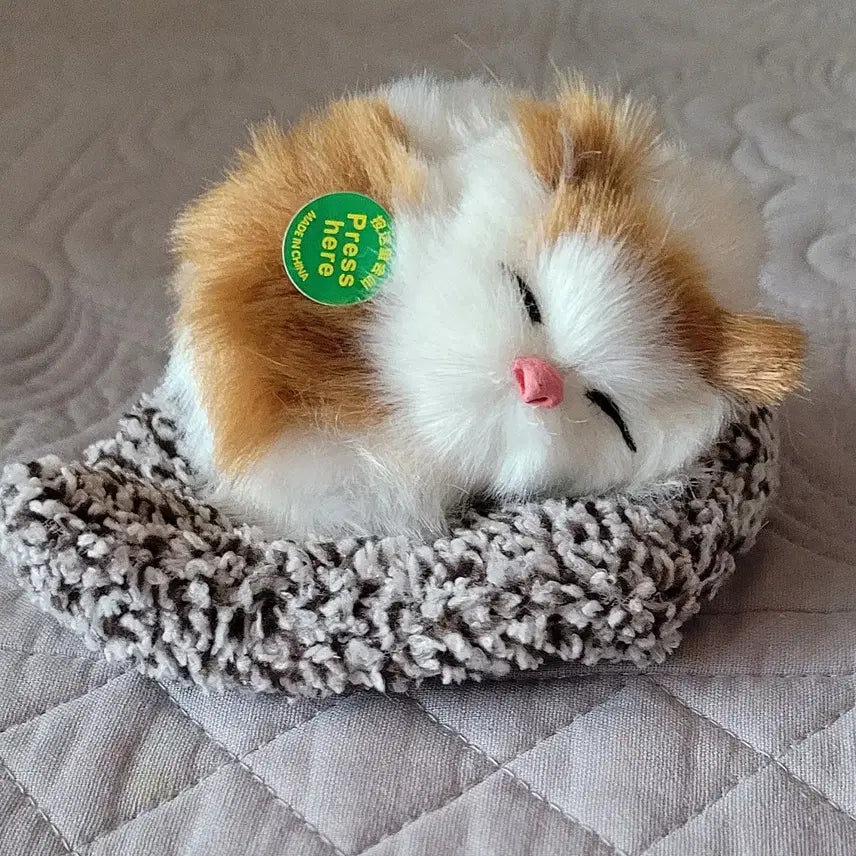 [BUNJANG] Sanrio Kuromi Lying Mochi Plush / 산리오 쿠로미 라잉모찌 33cm+소리내는 고양이(새상품)