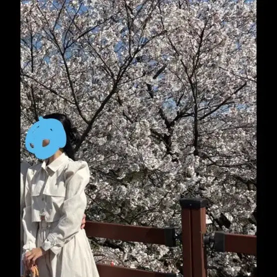 [SOLD OUT] 아무르 트렌치 바바리세트(하객룩, 트렌치세트)