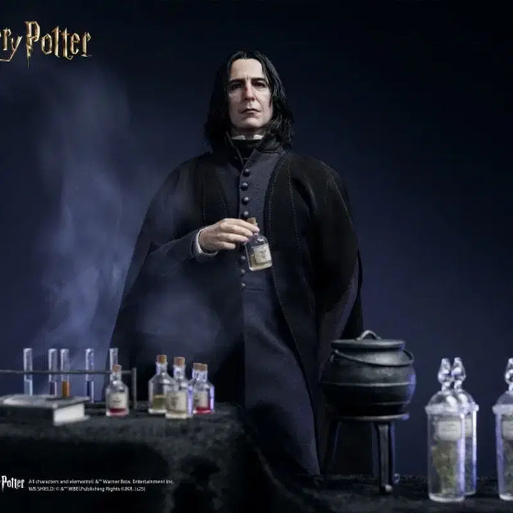 [SOLD OUT] 1인아트 inart 해리포터 스네이프 교수 핫토이X