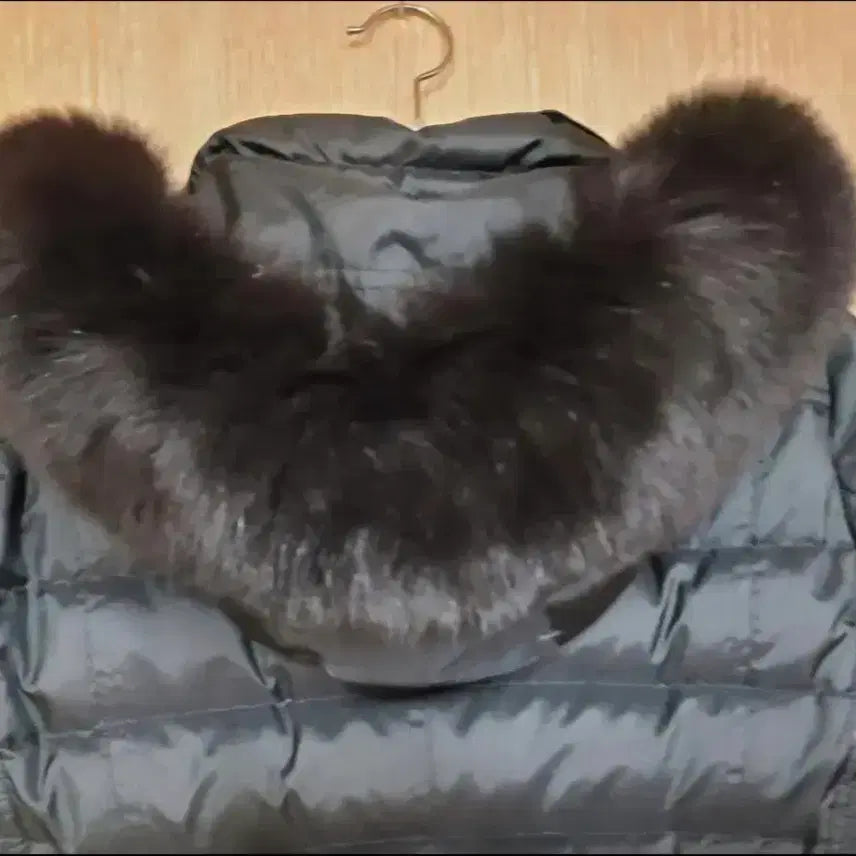 [BUNJANG] Burberry Abidale Down Padded Jacket / (정품) 버버리 아비데일 패딩