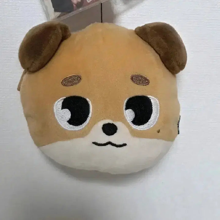 [BUNJANG] Day6 Dowoon Don Release Pass Pouch / 급처) 데이식스 도운 돈 릴패스 파우치 양도