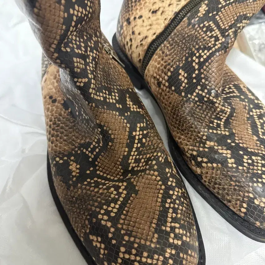 [BUNJANG] Andersson Bell Python Boots 42 / 앤더슨벨 파이톤 부츠 42