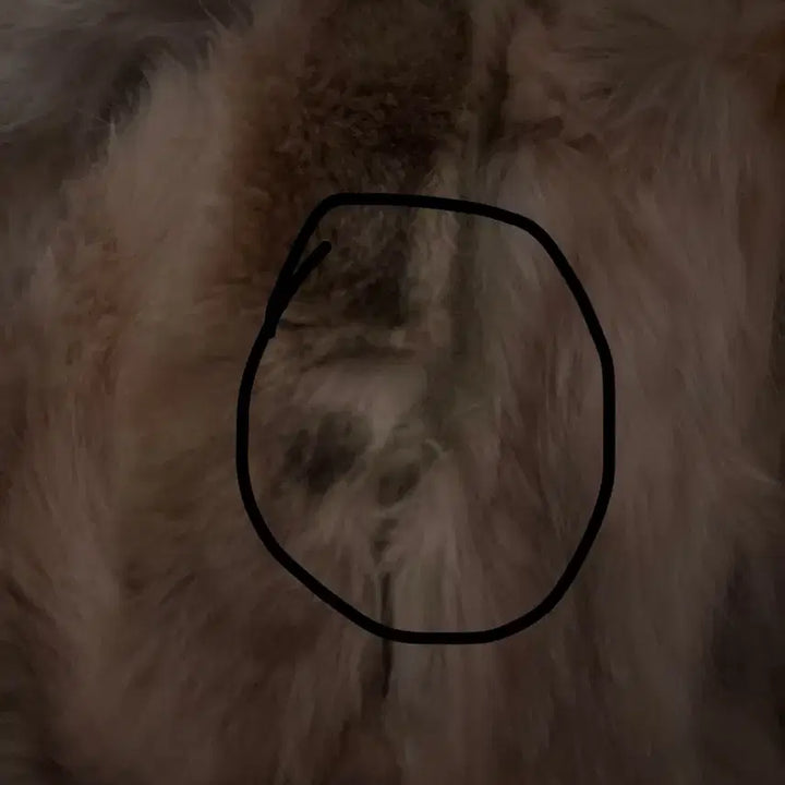 [BUNJANG] Vintage Brown Mix Fox Fur Jacket / 빈티지브라운믹스폭스퍼자켓