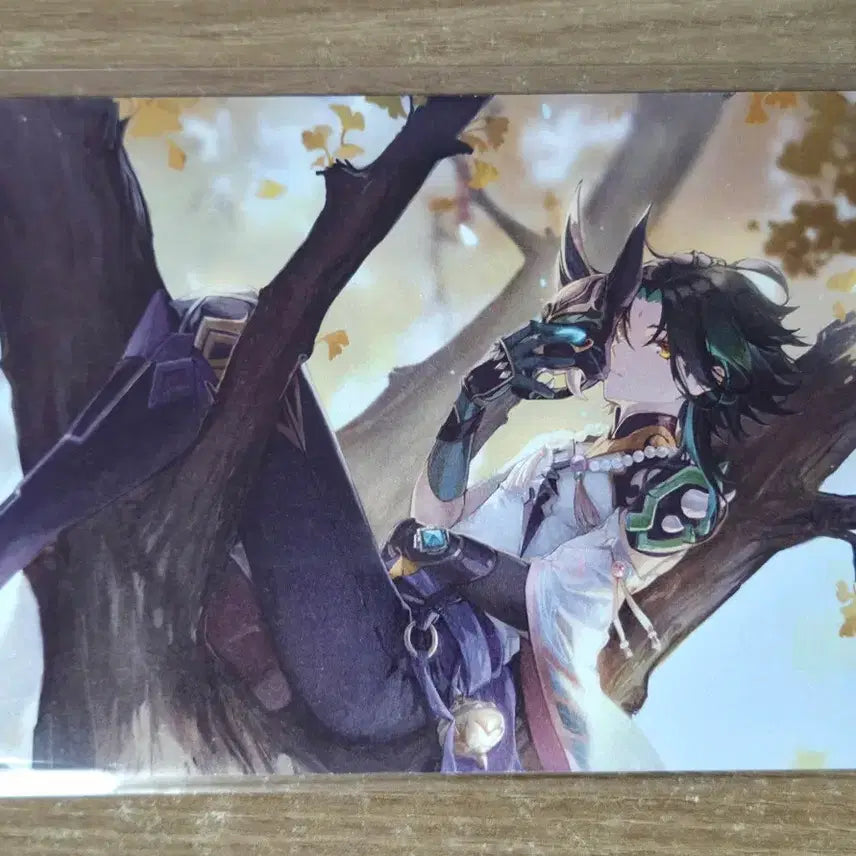 [BUNJANG] Genshin Impact Fan-made Postcard Bundle Set / 원신 소 비공굿 엽서 일괄