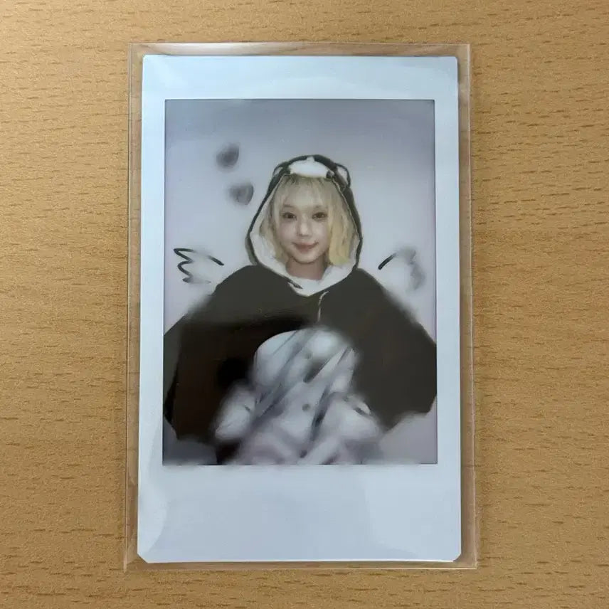 유니스 스위시 코토코 사인 폴라로이드 싸폴 폴라