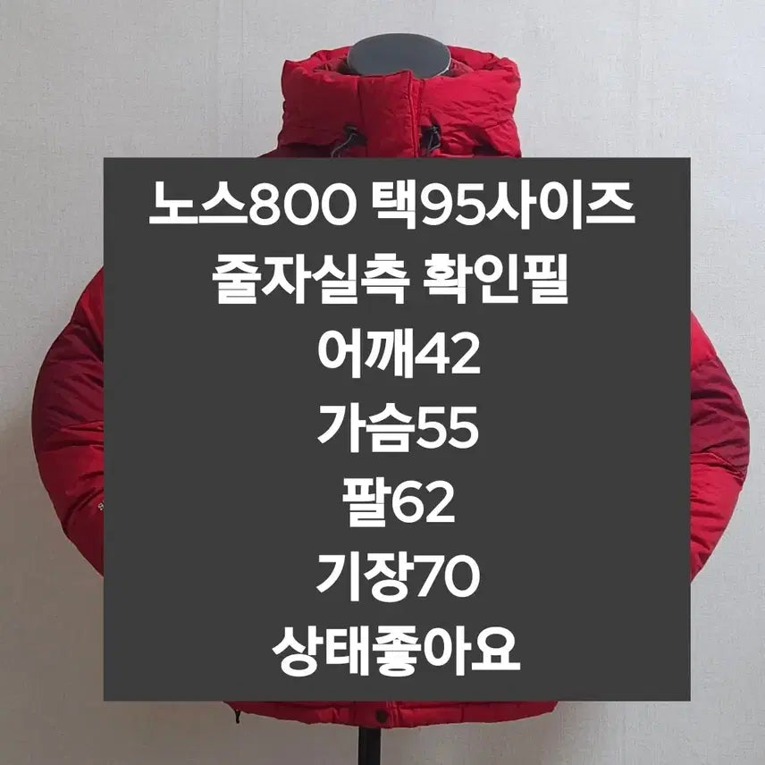 [BUNJANG] The North Face 800 Red Goose Down Padded Jacket / 노스페이스 800 레드 구스다운 패딩