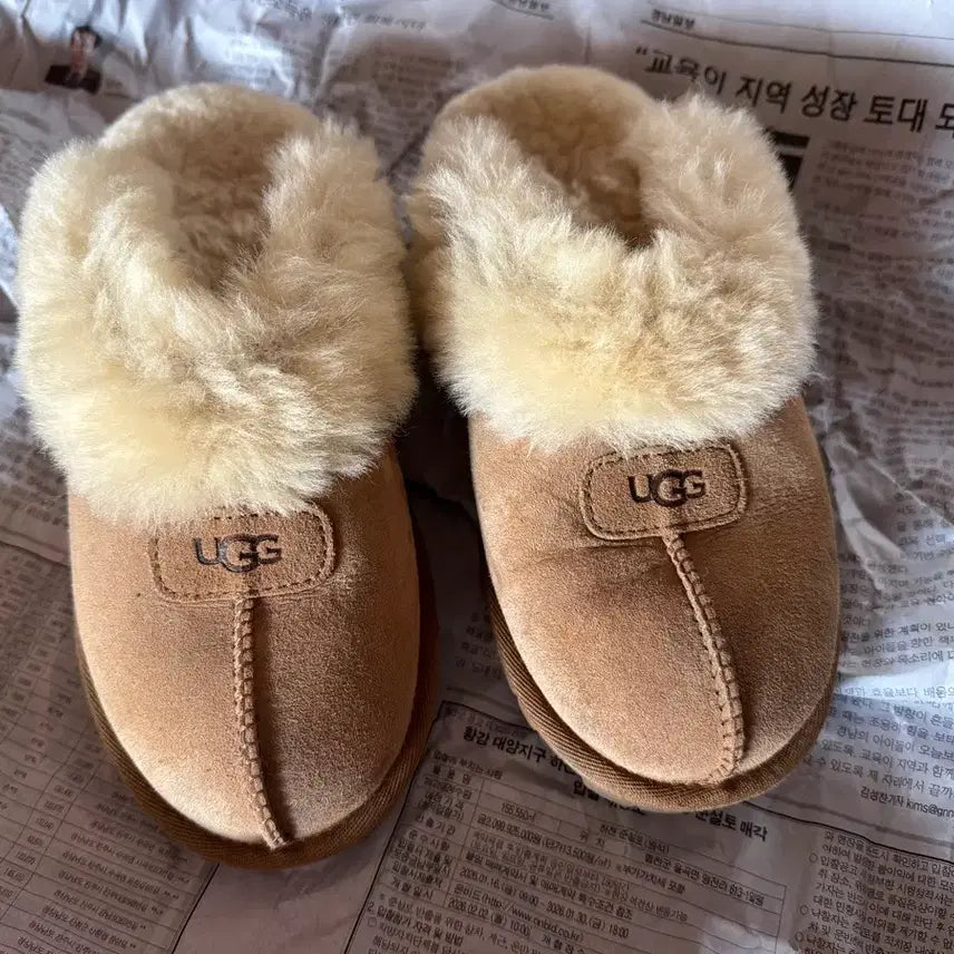 [BUNJANG] UGG Coquette Chestnut Mules / UGG 어그 코케트 털 슬리퍼 뮬 부츠 체스트넛 240