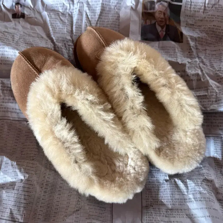 [BUNJANG] UGG Coquette Chestnut Mules / UGG 어그 코케트 털 슬리퍼 뮬 부츠 체스트넛 240
