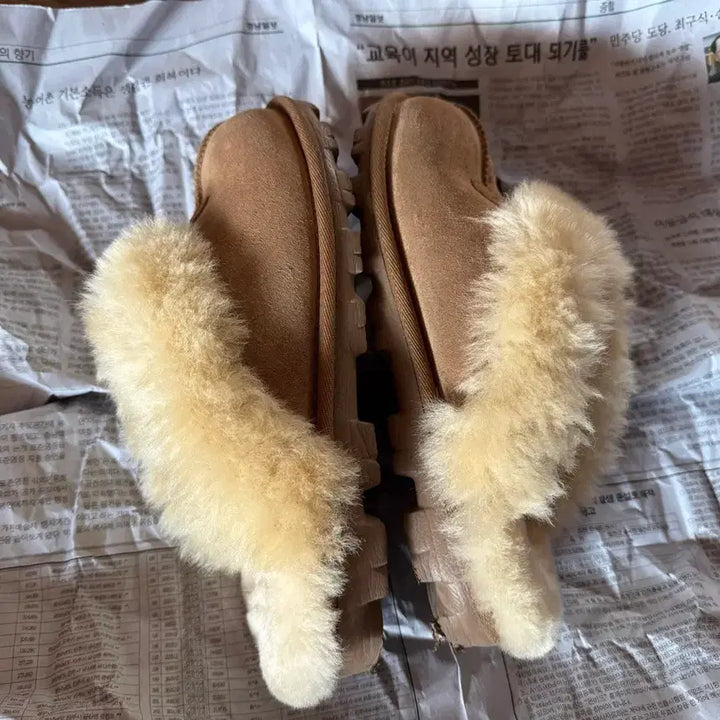 [BUNJANG] UGG Coquette Chestnut Mules / UGG 어그 코케트 털 슬리퍼 뮬 부츠 체스트넛 240