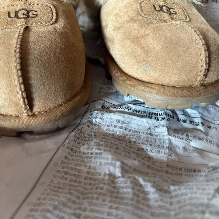 [BUNJANG] UGG Coquette Chestnut Mules / UGG 어그 코케트 털 슬리퍼 뮬 부츠 체스트넛 240