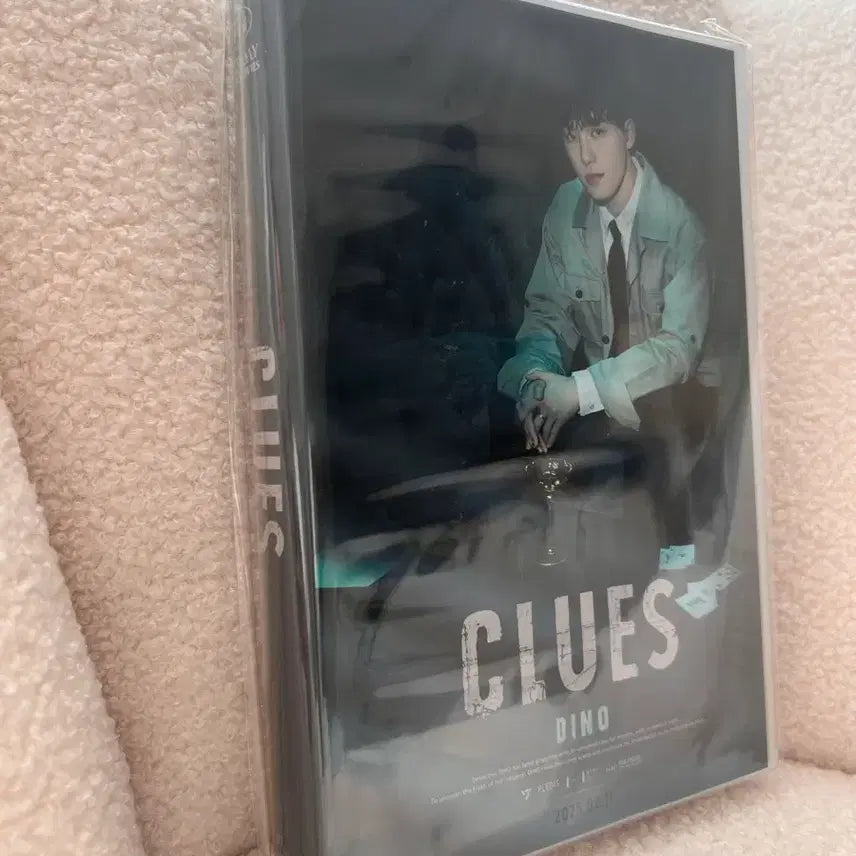 [BUNJANG] SEVENTEEN DINO Birthday Box ver.4 Photocard Included / [미개봉/정품] 세븐틴 디노 생일박스 ver.4 포카포함