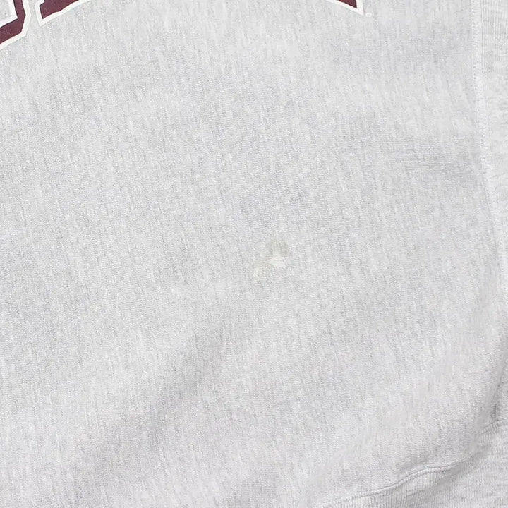 [BUNJANG] Champion Reverse Weave Sweatshirt &