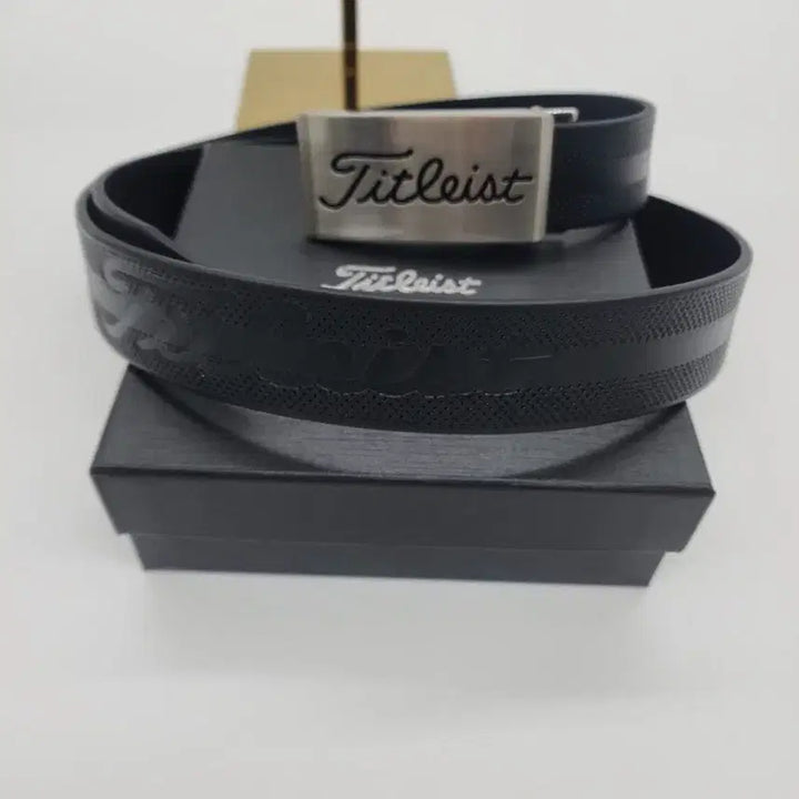 [BUNJANG] Titleist Silver Logo Belt / 타이틀리스트 은장로고벨트