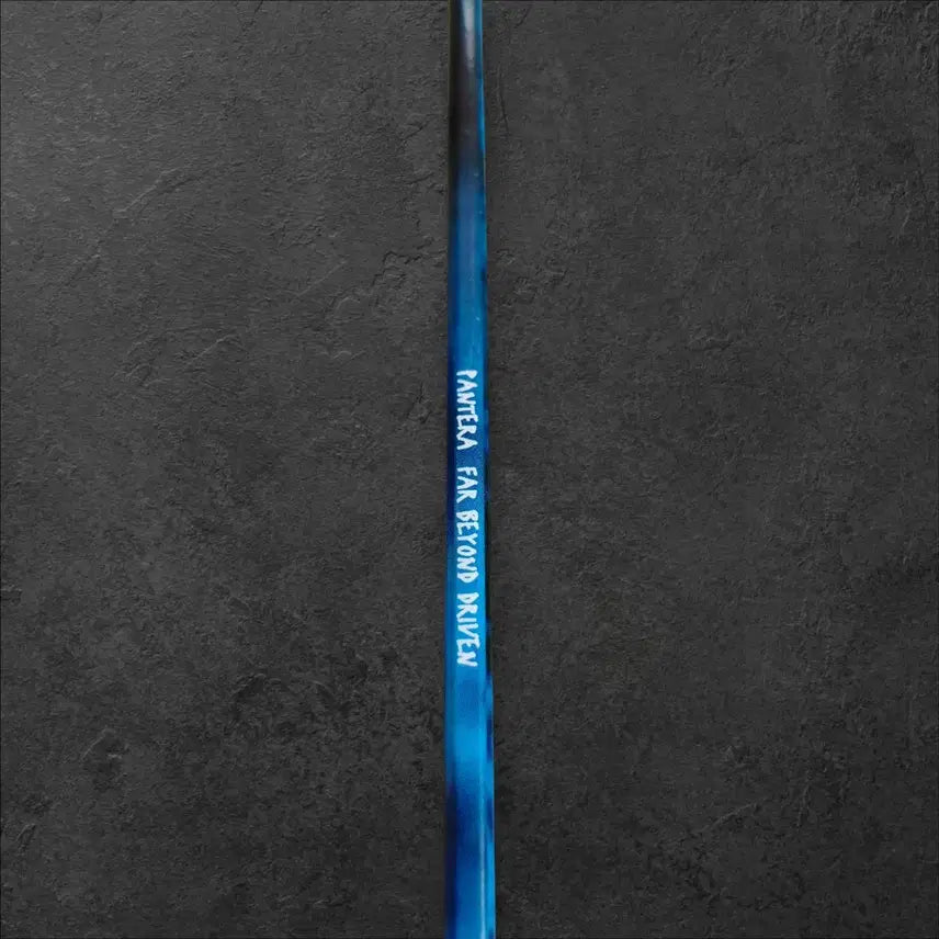 [BUNJANG] Pantera LP Record - Sealed / 판테라 LP 레코드판 pantera