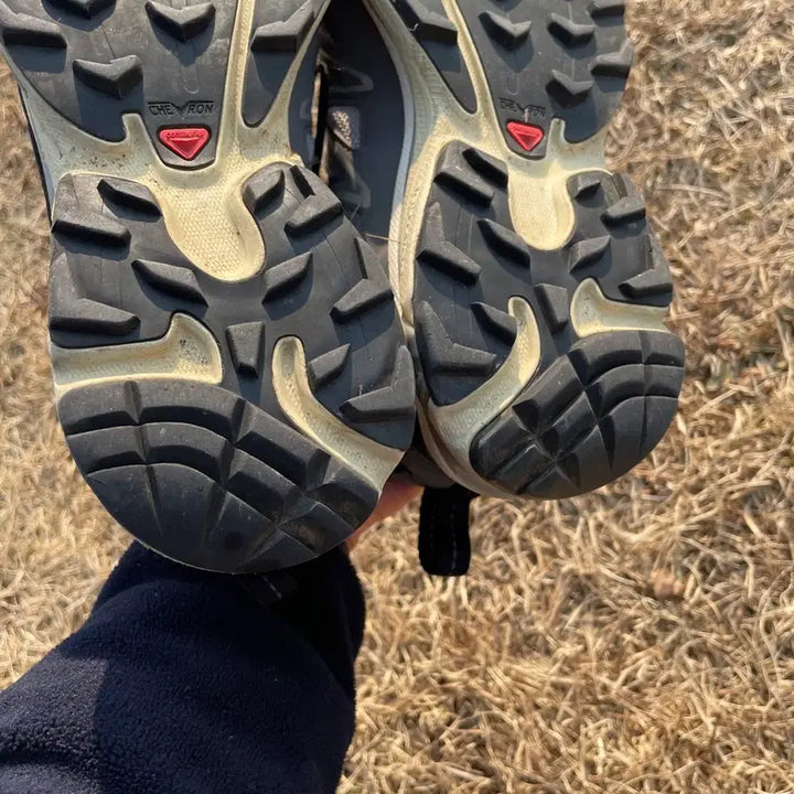 [BUNJANG] Salomon XT-6 Alloy Quiet Shade Sneakers / 살로몬 XT-6 익스재팬 알로이 콰이엇 쉐이드 265