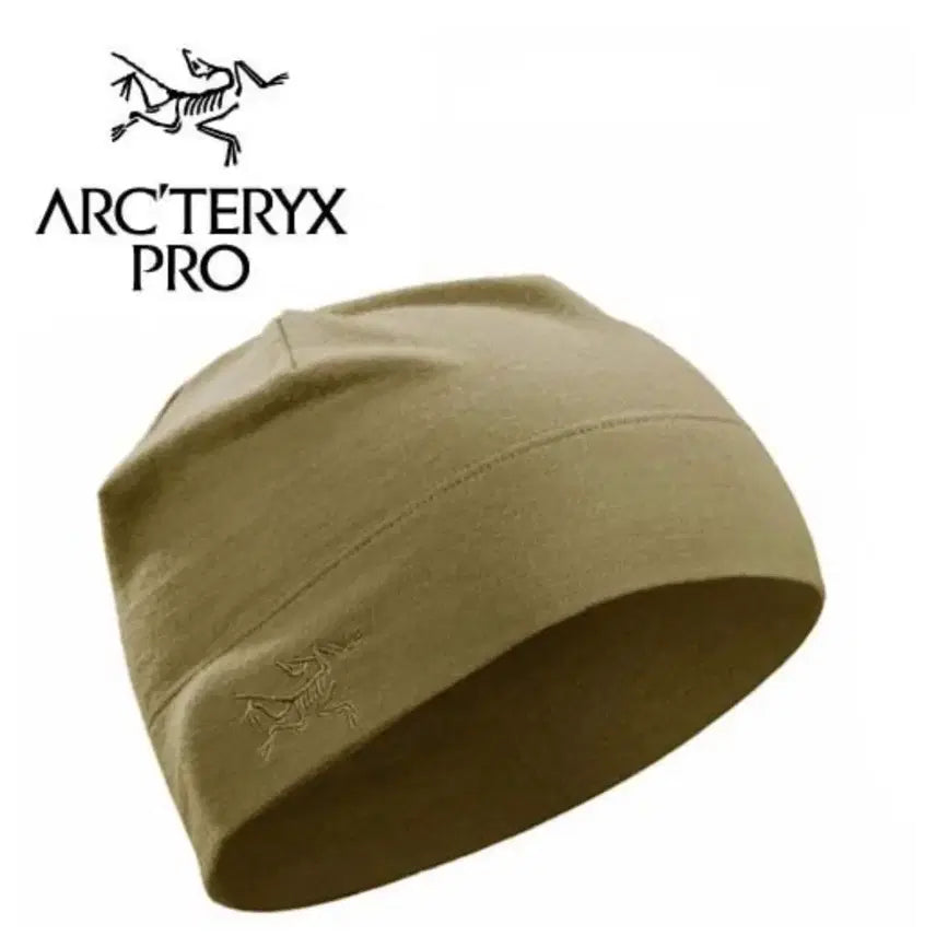 [BUNJANG] Arc'teryx LEAF Cold WX Beanie AR (Crocodile) / 아크테릭스 리프 콜드 WX 비니 AR (크로커다일)