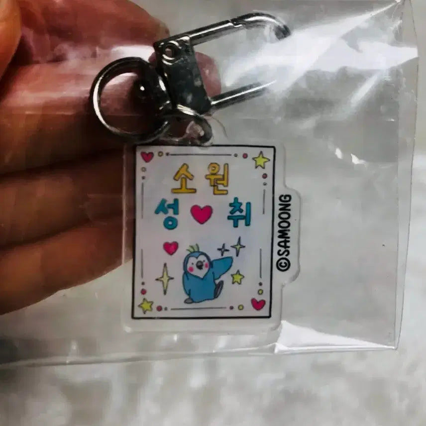 [BUNJANG] Parrot Amulet Keychain / 앵무새 부적 키링 소원성취