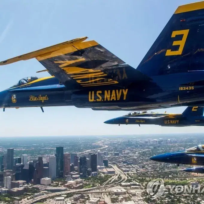 [BUNJANG] Citizen Blue Angels Promaster Navihawk Watch / 시티즌 블루엔젤스  QZ C300-Q00842 프로 마스터 나비 호크 디