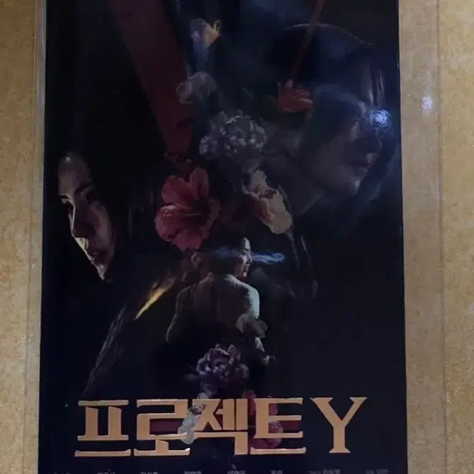 [BUNJANG] Project Y Original Ticket / 프로젝트Y 오리지널티켓