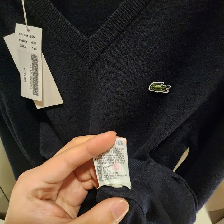 [BUNJANG] Lacoste Women's Wool Solid V-Neck Sweater / (새상품) 특가 라코스테 여성 울 솔리드 브이넥 스웨터 (니트)