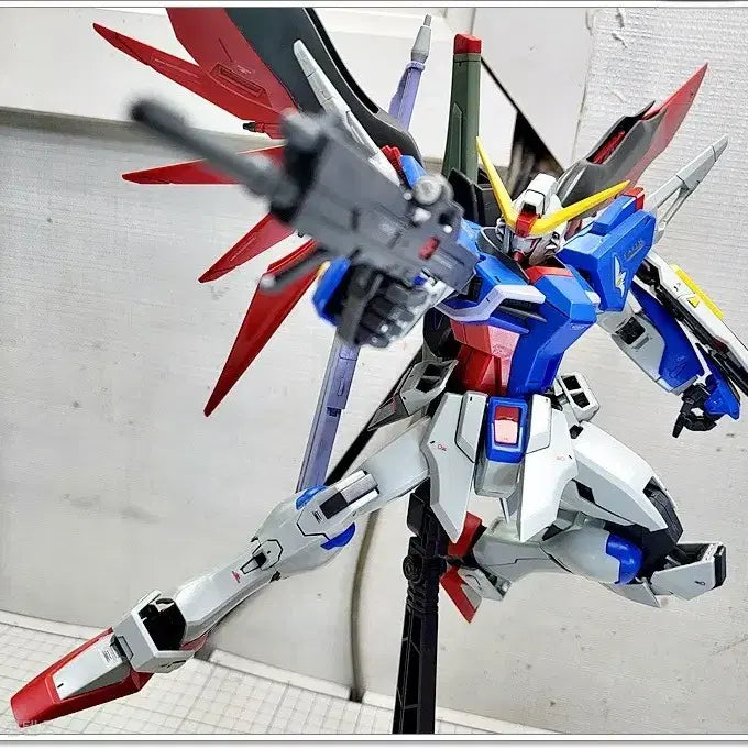 [BUNJANG] MG Destiny Gundam Model Kit / MG 데스티니 건담