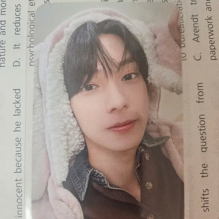 [BUNJANG] Choi Ripwoo Rabbit Blanket POB / 최립우 토끼담요 미공포