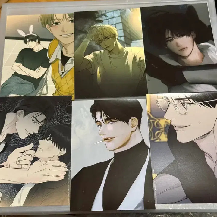 [BUNJANG] Payback Printing Box Bundle Set / 페이백 프박 11장 프린팅박스 일괄