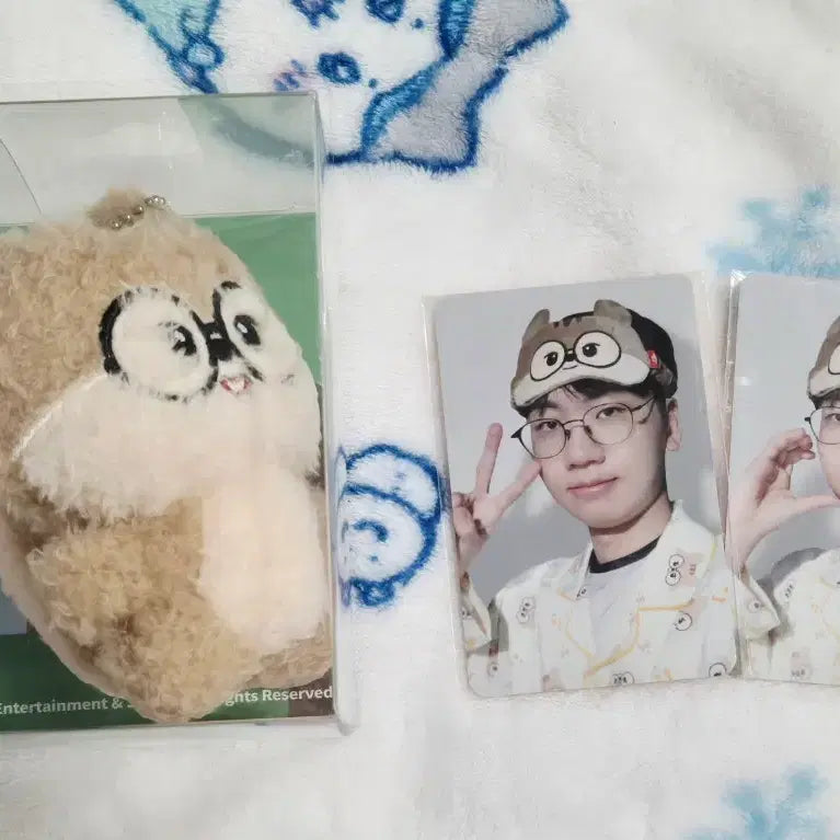 [BUNJANG] T1 Doran Animal Doll Bundle Set / 티원 T1 애니멀 도란 인형 생일 포카 일괄 양도합니다