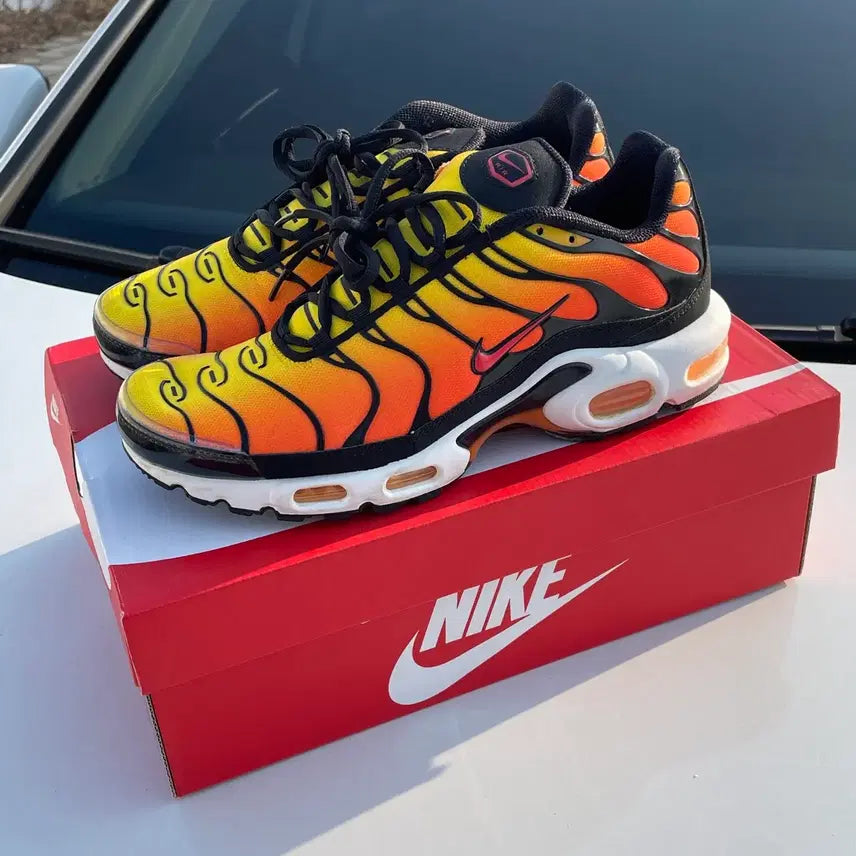 [BUNJANG] Nike Air Max Plus Sunset Sneakers / 나이키 에어맥스 플러스 선셋 270