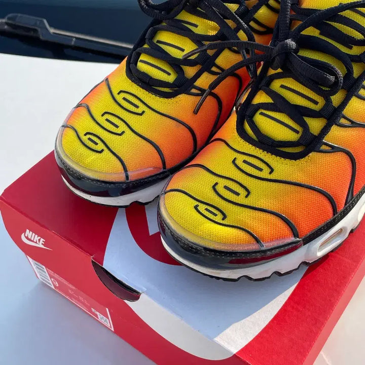 [BUNJANG] Nike Air Max Plus Sunset Sneakers / 나이키 에어맥스 플러스 선셋 270