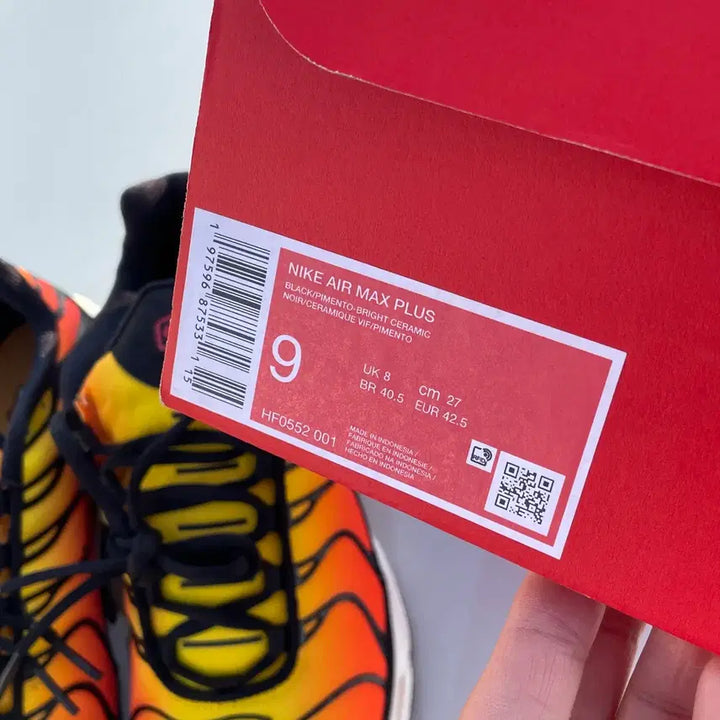 [BUNJANG] Nike Air Max Plus Sunset Sneakers / 나이키 에어맥스 플러스 선셋 270