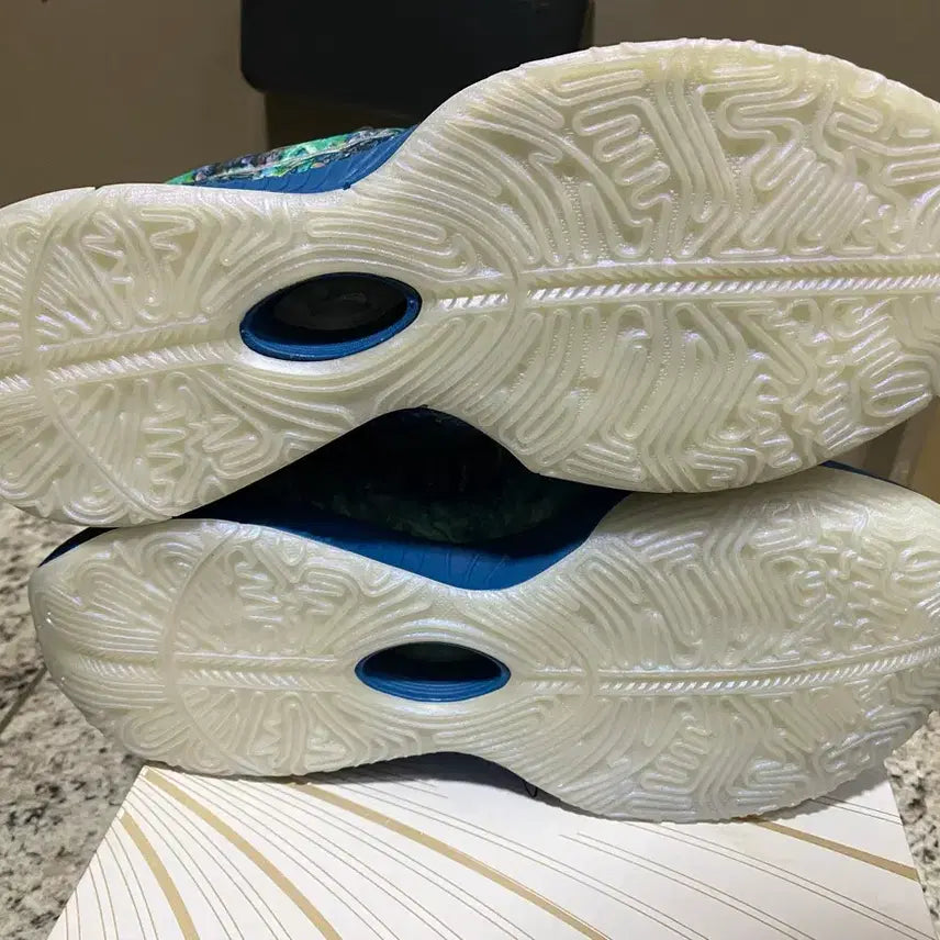 [BUNJANG] Nike LeBron 21 EP Avalon Sneakers / [새제품] 나이키 르브론 21 ep 아발론 260