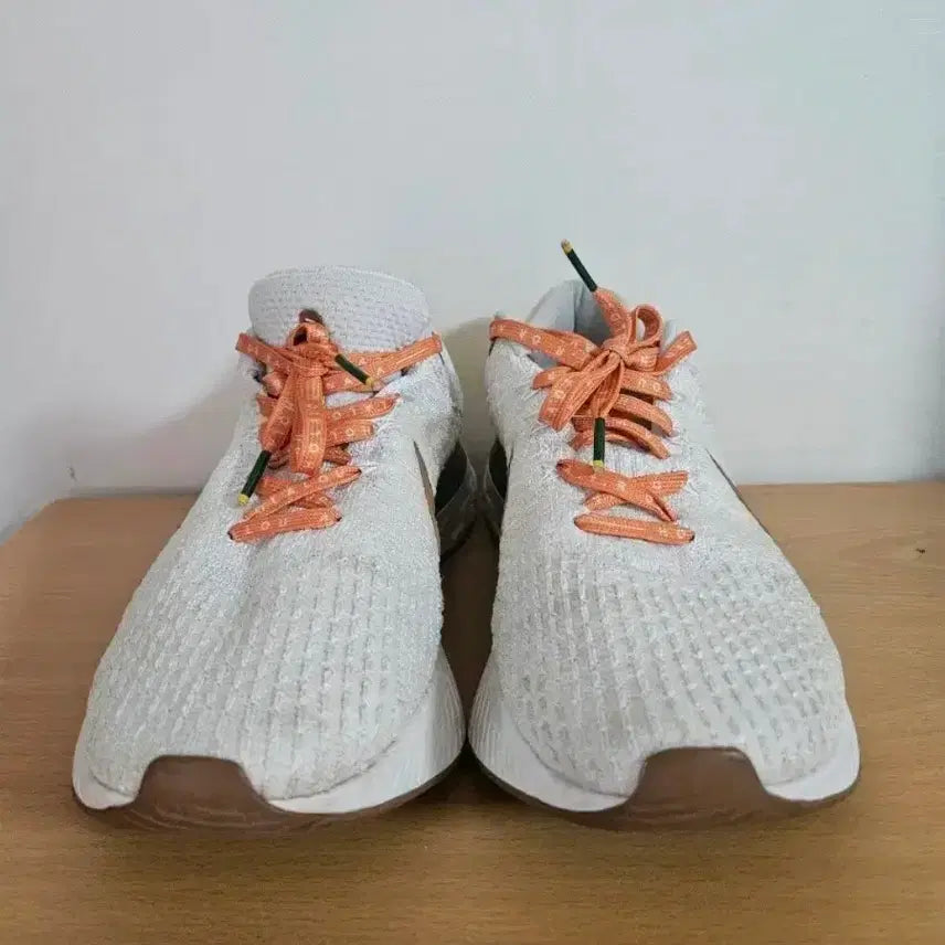 [BUNJANG] Nike InfinityRun Flyknit Phantom Running Shoes / 나이키 인피니티런 훌라루 팬텀 270사이즈 런닝화(택포)