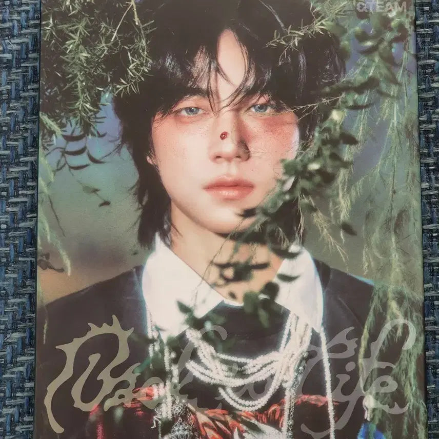 앤팀 타키 아오아라시 개봉 개인엽서o 포카x 백투라 포카만x