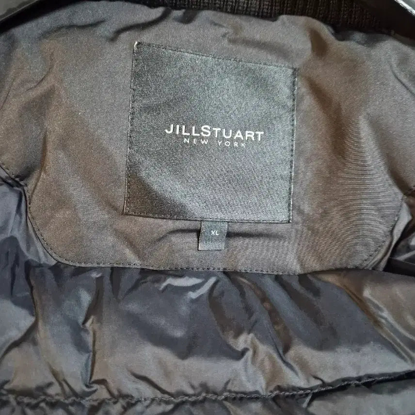 [BUNJANG] Jill Stuart Homme Goose Down Padded Jacket / 질스튜어트 옴므 구스다운 패딩