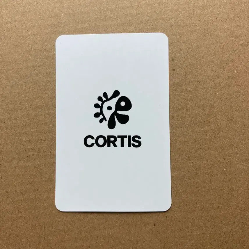 CORTIS코르티스 안건호 일본 럭키 카드 포카