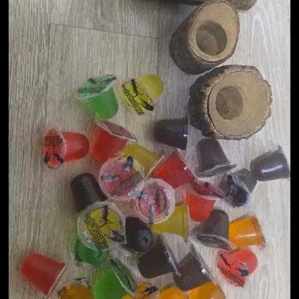 [BUNJANG] Insect Supplies Beetle Supplies / 곤충사육용품장수풍뎅이용품