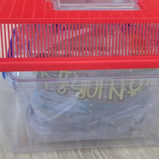 [BUNJANG] Insect Supplies Beetle Supplies / 곤충사육용품장수풍뎅이용품