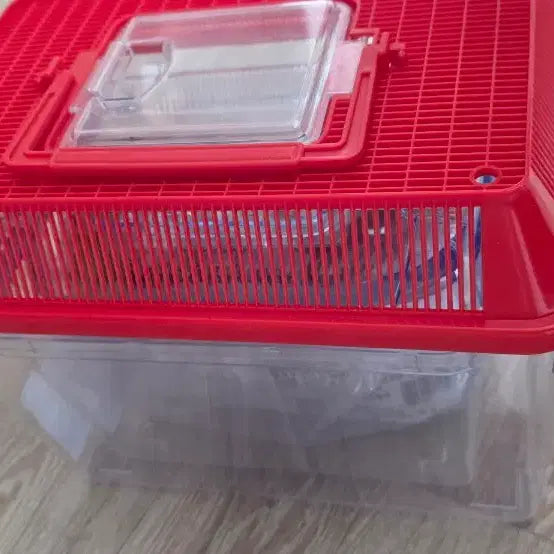 [BUNJANG] Insect Supplies Beetle Supplies / 곤충사육용품장수풍뎅이용품