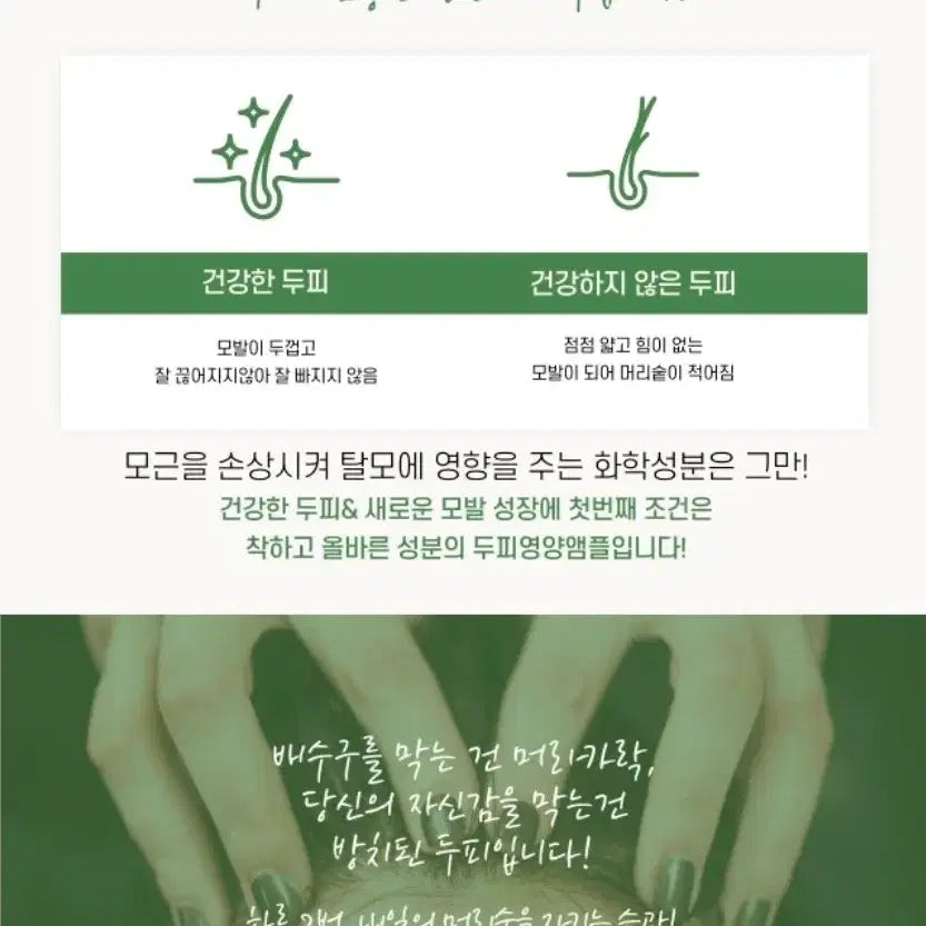 [BUNJANG] Cell Cica Hair Ampoule 140ml x 5 / 셀 시카 헤어 앰플 140ml 5개