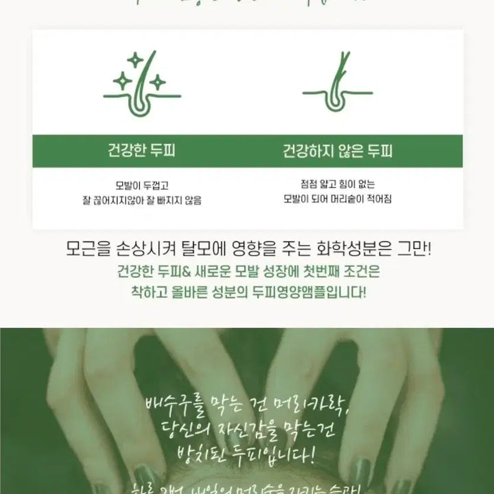 [BUNJANG] Cell Cica Hair Ampoule 140ml x 5 / 셀 시카 헤어 앰플 140ml 5개