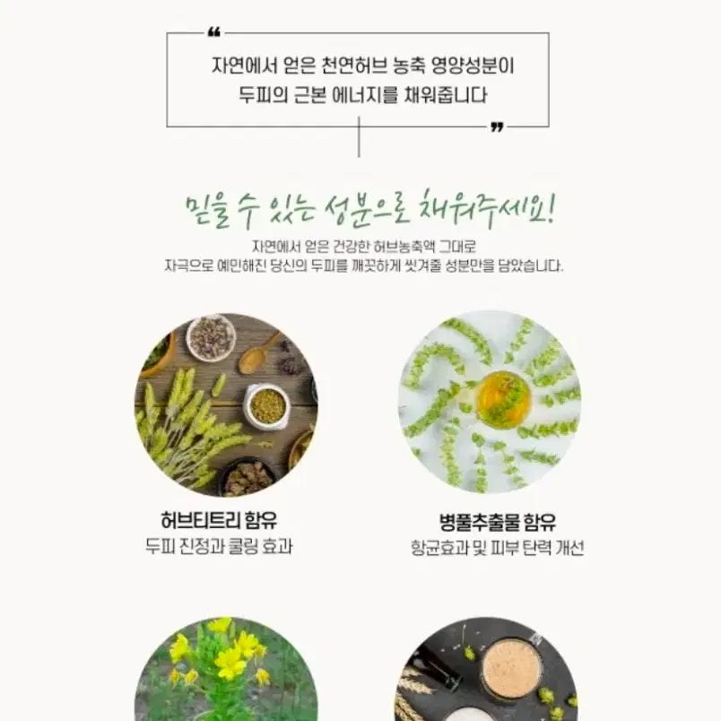 [BUNJANG] Cell Cica Hair Ampoule 140ml x 5 / 셀 시카 헤어 앰플 140ml 5개