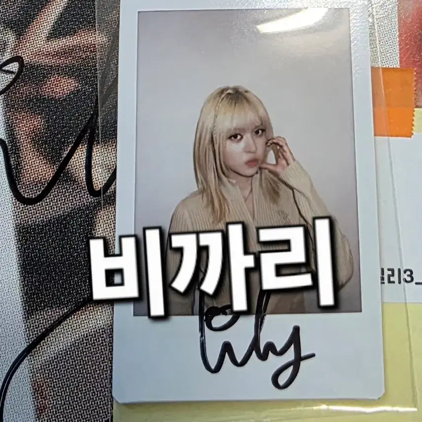 엔믹스 nmixx 릴리 싸인 폴라 25