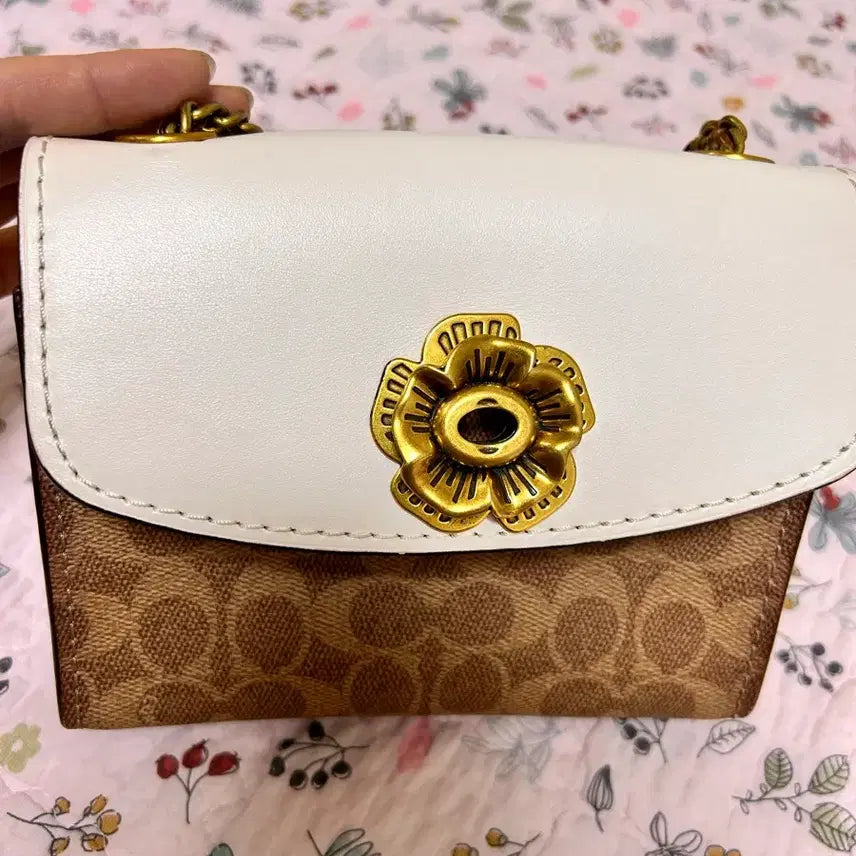 [BUNJANG] Coach Crossbody Bag / 코치크로스