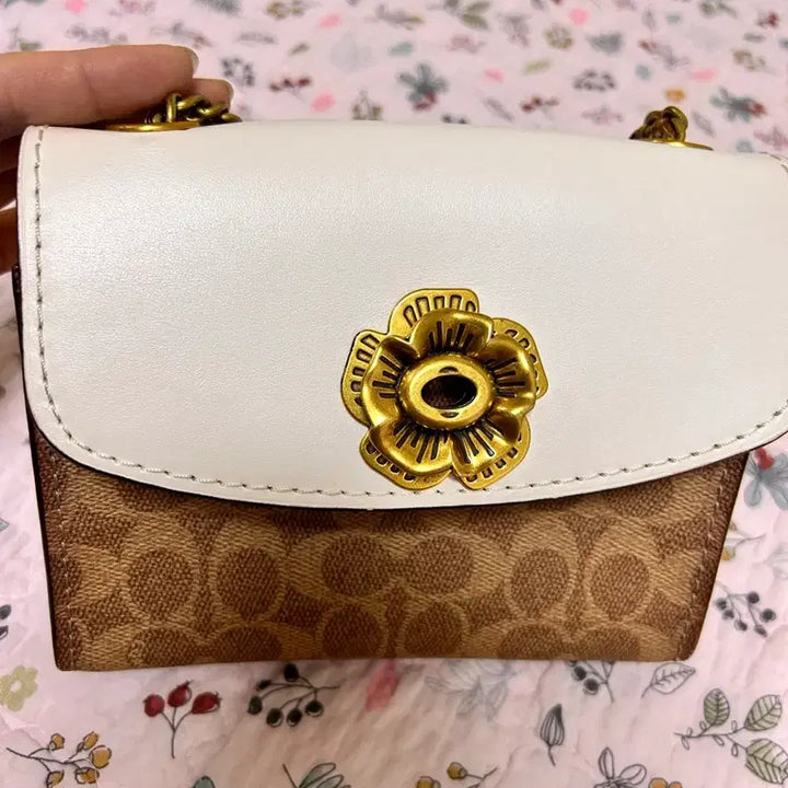 [BUNJANG] Coach Crossbody Bag / 코치크로스