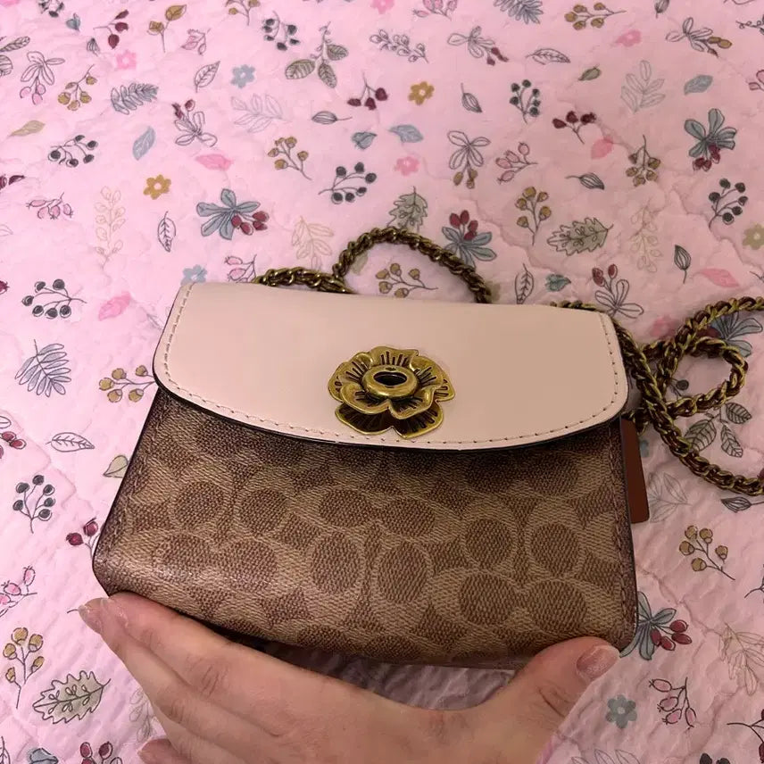 [BUNJANG] Coach Crossbody Bag / 코치크로스