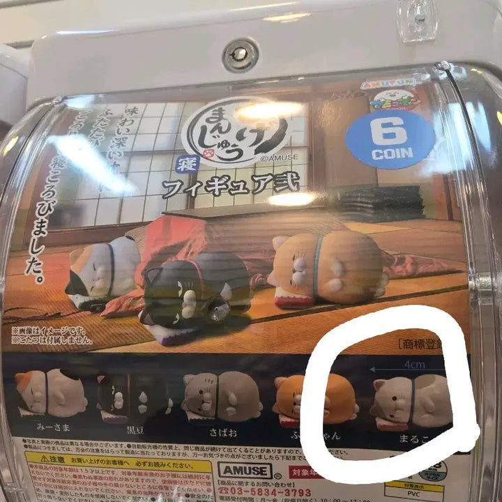 [BUNJANG] Amuse Cat Figure / 어뮤즈 고양이 가챠