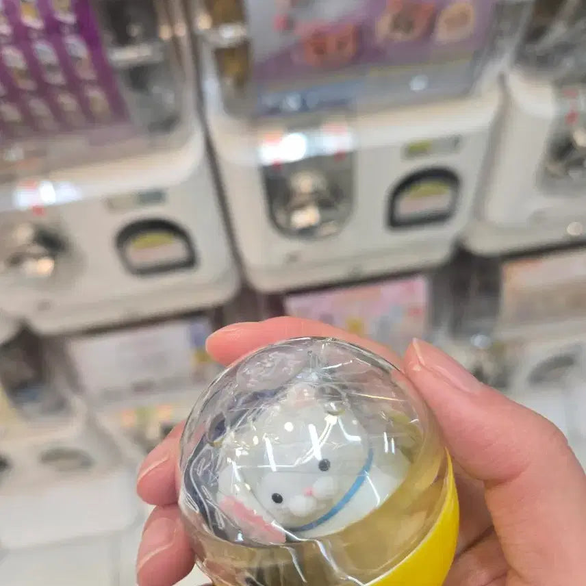 [BUNJANG] Amuse Cat Figure / 어뮤즈 고양이 가챠