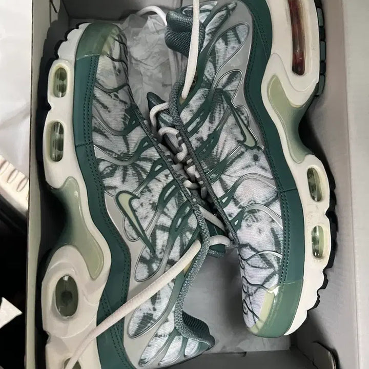 [BUNJANG] Nike Air Max Plus TN Sneakers / 나이키 맥스플러스 tn 새제품 팝니다